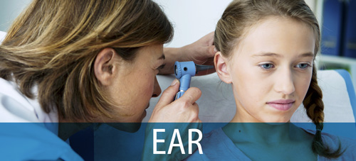 ear-2-alt